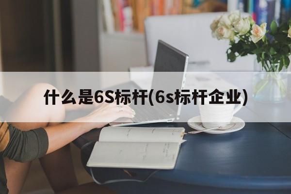 什么是6S标杆(6s标杆企业)